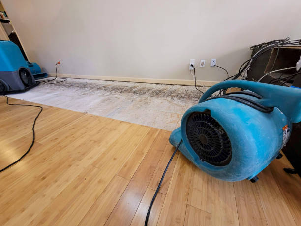 Professional Burst Pipe Water Damage technician working in Worthing, SD